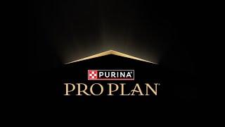 Feed Your Dog Like a National Dog Show Champion with Purina Pro Plan