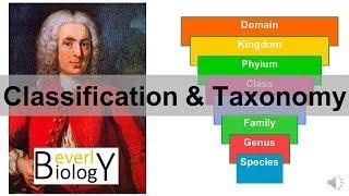 Classification and Taxonomy