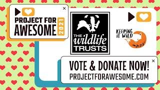 P4A 2021 | The Wildlife Trusts
