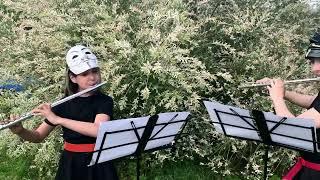 G. Bizet Overture “Carmen”, “Flutemania” Ekaterina Ivanova and Diana Simonova