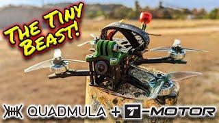 Introducing the Quadmula Siren F3 Split! // FPV Freestyle // MurdersFPV