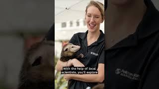 Wild Vizcaya: An Outdoor Science Lab in Miami  | VizcayaMuseum