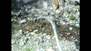 Flood & Glacier Gravel Gold with Yankee Gold Prospecting Adventures