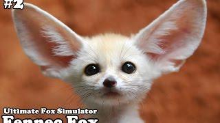 Ultimate Fox Simulator - Fennec Fox (baby foxes) Level 100 - Android/iOS - Gameplay Part 2