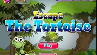 Escape The Tortoise walkthrough