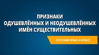 Признаки одушевлённых и неодушевлённых имён существительных