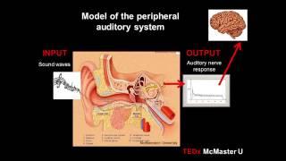 Pitch encoding in polyphonic music: Dr. Celine Marie at TEDxMcMasterU