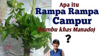 Bumbu khas Manado - Rampa Rampa Campur. Yang hobby masak dan mau ke Manado, perlu tau ini