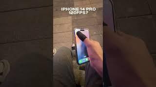 Сколько fps в Standoff 2 на Iphone 14 Pro?