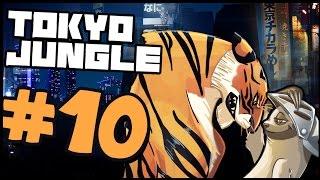 Tokyo Jungle | LION VS PTERANODON (Playthrough Part 10)