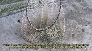 Fishing along the Bulgarian side of the Danube