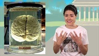 Santiago Ramón y Cajal: Biography of a Great Thinker | History of Science