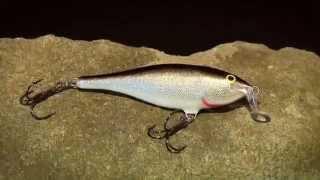 Rapala Shallow Shad Rap