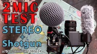 Stereo vs+ Shotgun Mic TEST Audio Technica BP4025 + Sony XM1, guitar voice