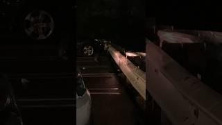 Raccoon showed up while night fishing!! #viral #fishing #nyc #nightfishing #trending