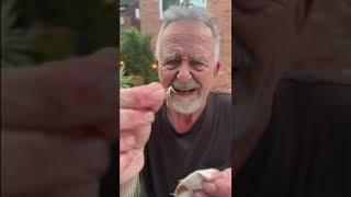 British man eating surströmming  #shorts #comedy