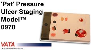 0980 - 'Pat' Pressure Ulcer Staging Model™