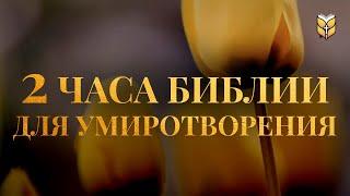 2 часа Библии для умиротворения. Современный перевод Библии #biblevision