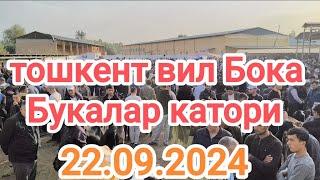 тошкент вил Бока тумани мол бозори букалар катори 22.09.2024