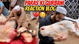 Apne piyare Bachare Paras ki Qurbani ka reaction vlog|pori journey dekha di