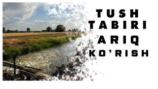 Tushda Ariq Ko'rish Tabiri