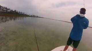 Bahamas Bonefish Fishing Deep Water Cay East End Grand Bahama Lodge