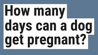 How many days can a dog get pregnant?