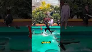 Kazanmak Üzereyken Her Şey Bir Anda Yıkıldı! 