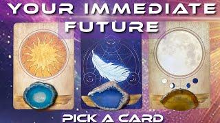 Your Immediate Furure What You Can Expect ️ 🪶