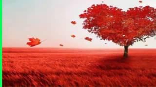 Love Poems For Her From The Heart