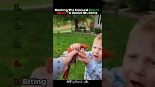 Ranking The Funniest Parrot Clown To Genius Students  #parrot #shorts