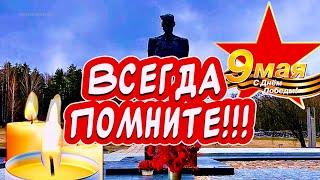 Мы Помним! Красивое поздравление С Днем Победы! С 9 мая!!!