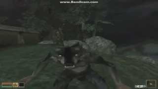 Morrowind Werewolf [Оборотень] HD