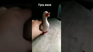 гусь Вася  #лиса #гусь#гусь_васа