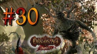 Let's Play Dragon Age Origins #30 - Bewegliche Flora