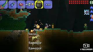 Bag terraria 