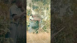 karibun jeanamu