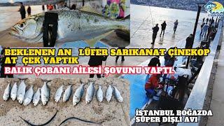 KURŞUN ARKASI.LÜFER, SARIKANAT, ÇİNEKOP AVI.BALIK ÇOBANI AİLESİ AT CEK YAPARAK ŞOVUNU YAPTI#fishing