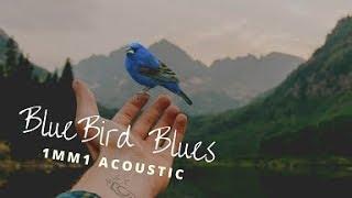 (1MM1 Acoustic) BlueBird Blues