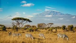 Kenyan Traditional Music: Benga Songs