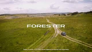2024 Subaru Forester | Subaru Australia