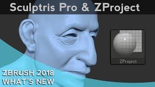 011 ZBrush 2018 Sculptris Pro and ZProject