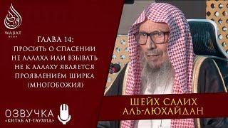 Просить о спасении не Аллаха или взывать не к Аллаху является проявлением ширка | Шейх аль-Люхайдан