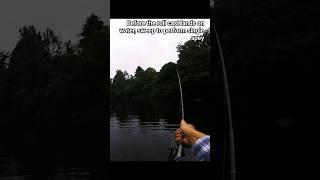 Roll cast pickup into single spey (single hand)