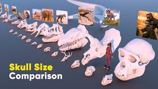 Skull Size Comparison 3D 2023 | Fictional  Skull Size