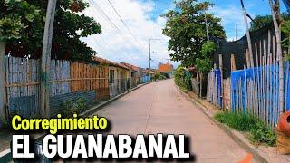 Entramos a El Guanabanal, Un Corregimiento de Palmira Valle 