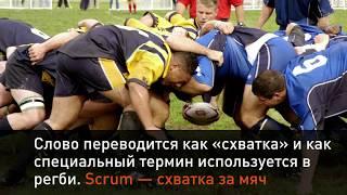 Scrum — эффективный метод работы над любым проектом