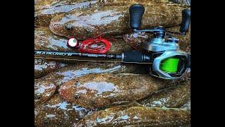 CATCH Flathead On Shimano's Baku Baku Jigs!