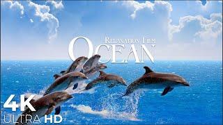 The Ocean 4K - Relaxation Film - Peaceful Relaxing Music - 4k Video UltraHD