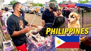 Don't miss THIS place in the Philippines / Pet Lover / Bocaue Pet Market Day